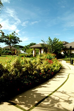 Amorita Resort