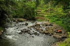 The Samaya Ubud