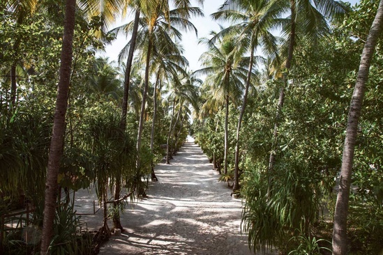 Nakai Maayafushi Resort