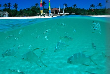 Amanpulo Resort